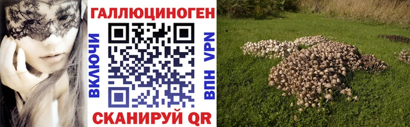 Псилоцибиновые грибы прущие грибы Белореченск