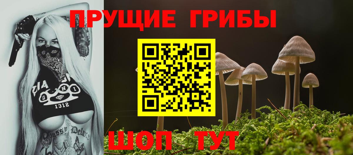 Галлюциногенные грибы мицелий  хочу наркоту  Белореченск  Вход с VPN 